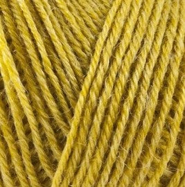 Onion Nettle Sock Yarn