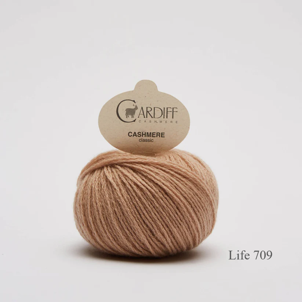 Cardiff Cashmere Classic Life 709 is available to buy online from Ida's House Lewes Yarn shop