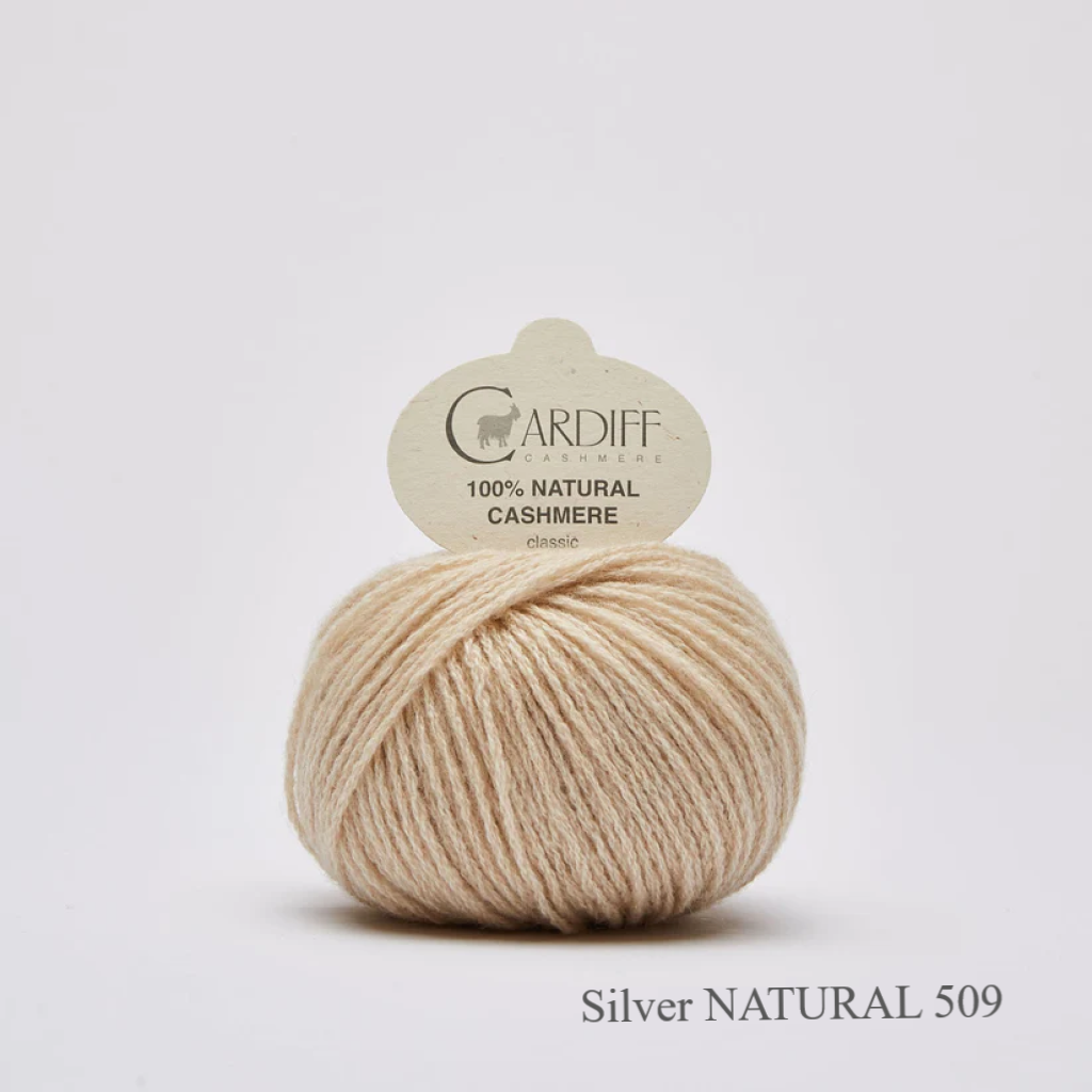 Cardiff Cashmere Classic Silver 509 is available to buy online from Ida's House Lewes Yarn shop