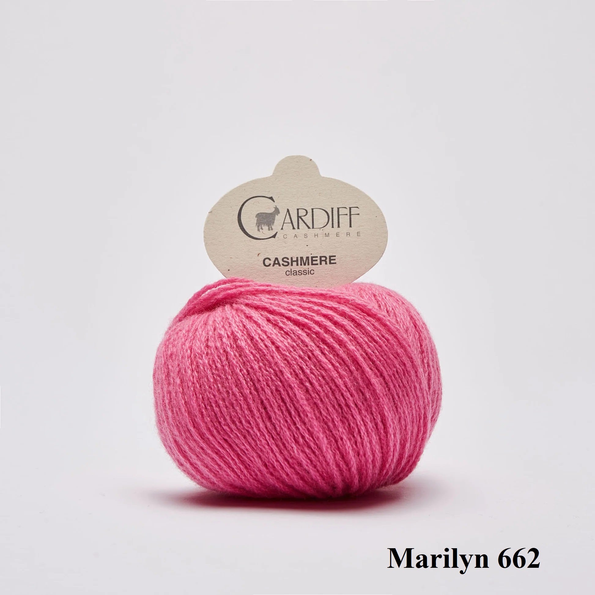 Cardiff Cashmere Classic Marilyn 662 is available to buy online from Ida's House Lewes Yarn shop