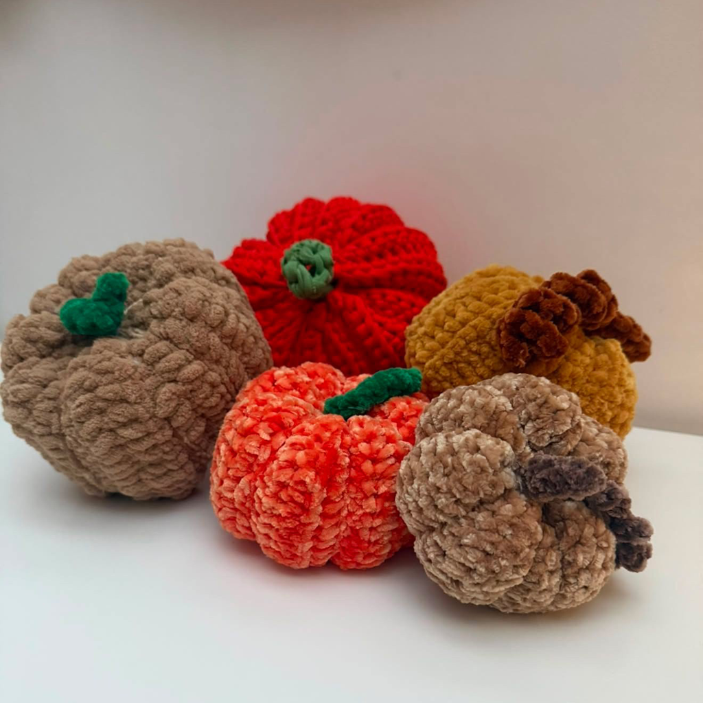 Beginner friendly crochet workshop 3rd October