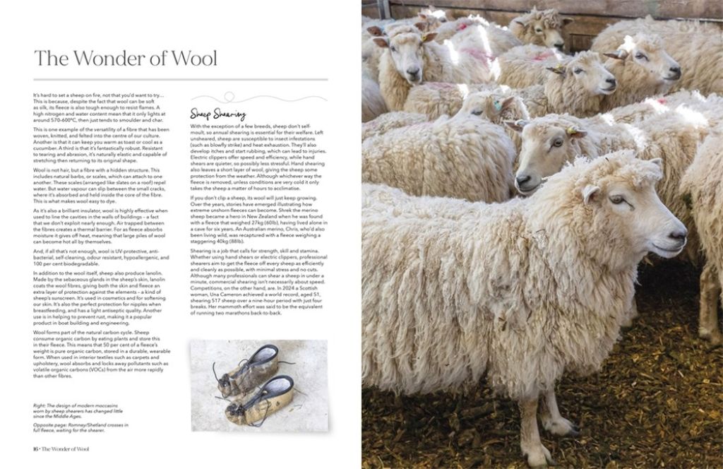 The Wonder of Wool Book by Justine Lee