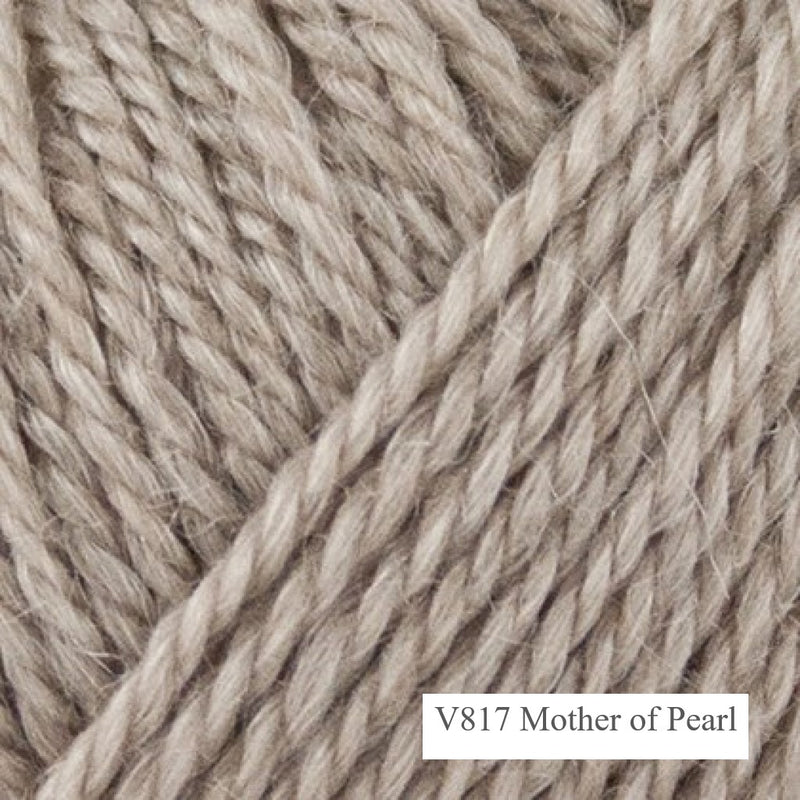 Mother of Pearl Onion no 4 Double Knitting Yarn is available to buy online from UK wool shop, Ida's House.