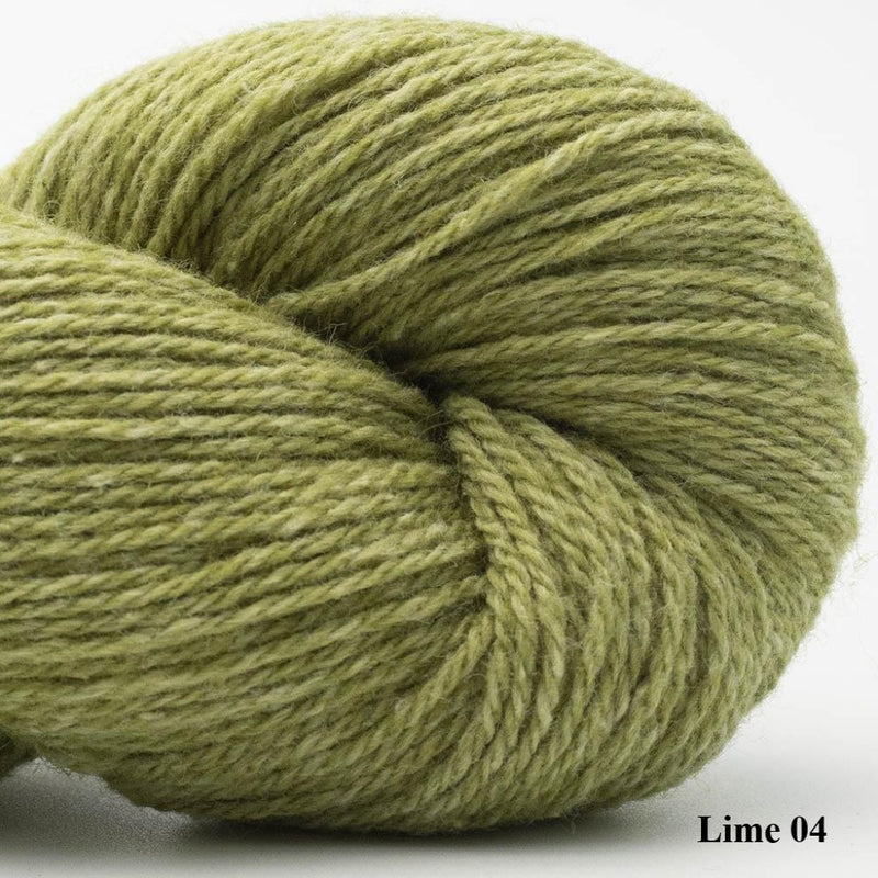 Lime Bio Balance by BC Garn - 4 Ply Yarn is available to buy online from UK wool shop, Ida's House.